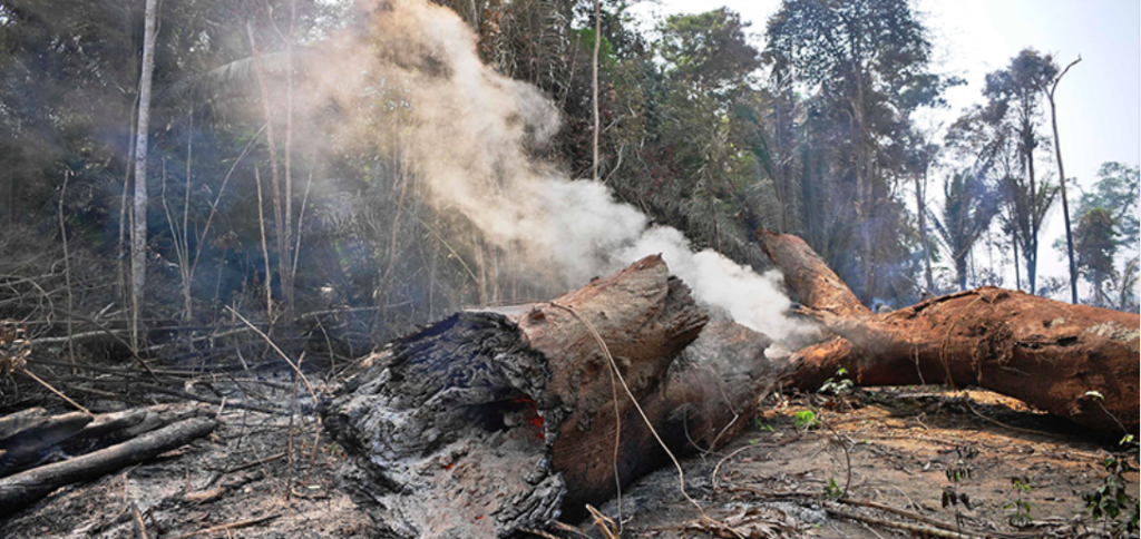 Fogo na Amazônia