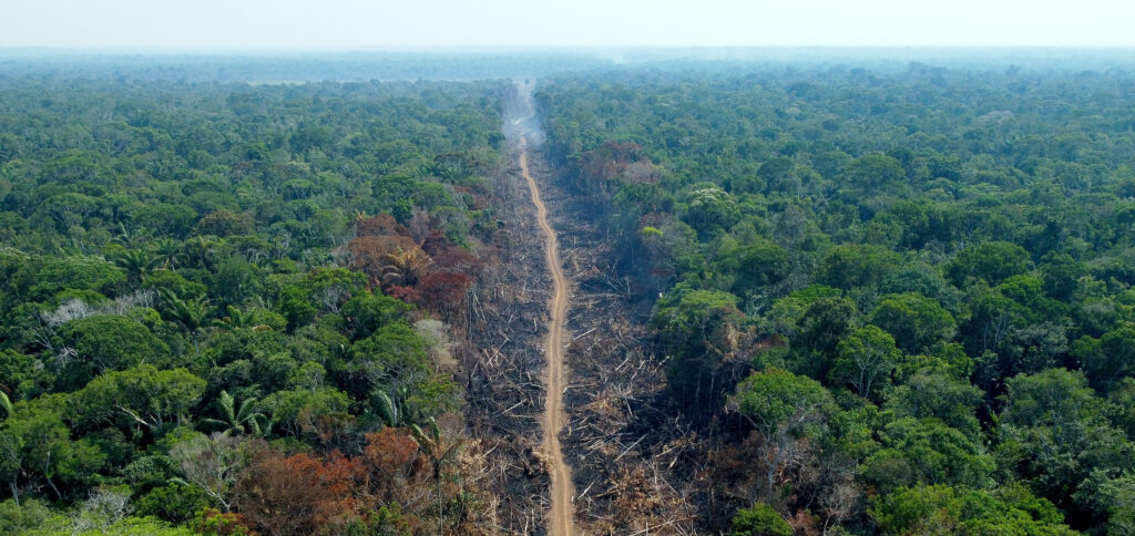 desmatamento Amazônia