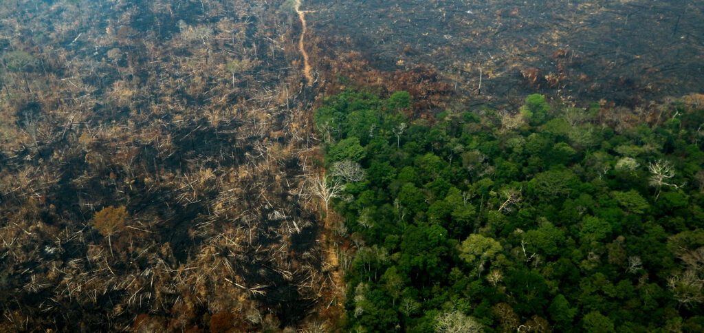 desmatamento Amazônia