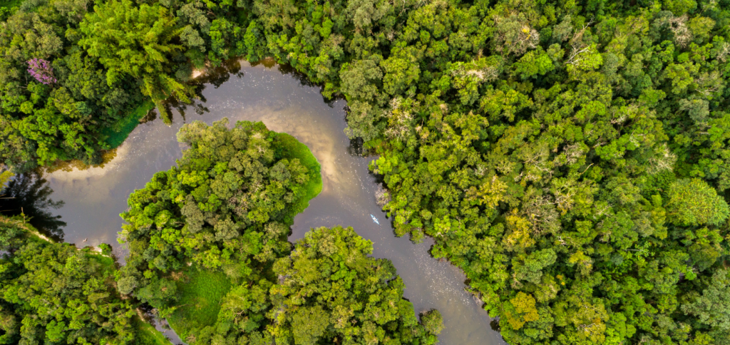 amazônia