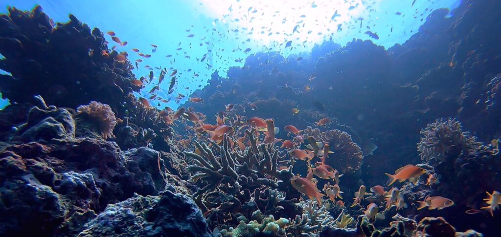 oceanos